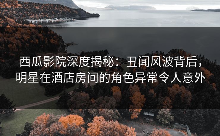 西瓜影院深度揭秘：丑闻风波背后，明星在酒店房间的角色异常令人意外