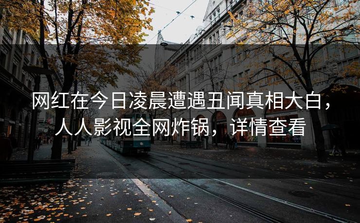 网红在今日凌晨遭遇丑闻真相大白，人人影视全网炸锅，详情查看