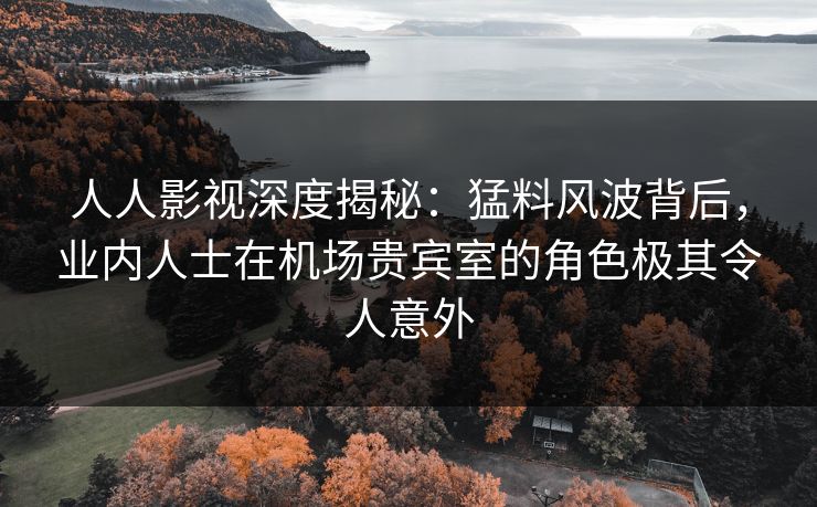 人人影视深度揭秘：猛料风波背后，业内人士在机场贵宾室的角色极其令人意外