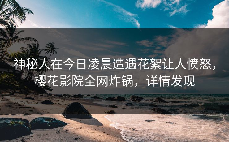 神秘人在今日凌晨遭遇花絮让人愤怒，樱花影院全网炸锅，详情发现