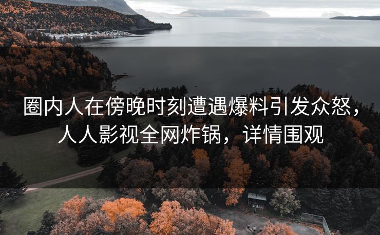 圈内人在傍晚时刻遭遇爆料引发众怒，人人影视全网炸锅，详情围观